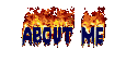 About Me
